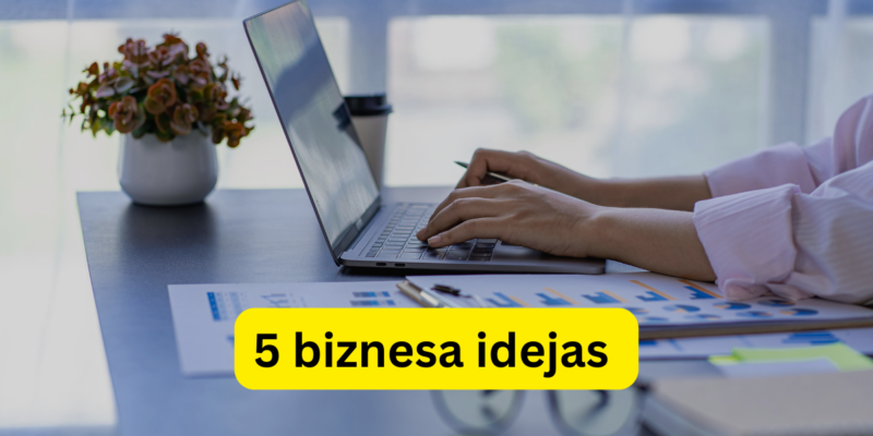 Top 5 biznesa idejas